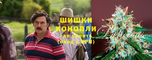 дживик Баксан