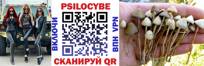 Галлюциногенные грибы Cubensis  Пласт 
