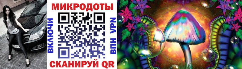 Псилоцибиновые грибы мицелий Пласт